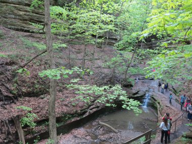 yalnızca içerik kullanımı: Bahar yıldız rock state Park, Illinois Fransız Kanyon ziyaret turistler
