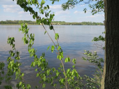 Mavi gökyüzü ve güzel bulut oluşumu ile bahar zaman büyüme Nehri boyunca aç Rock State Park, Illinois Nehri takip izi blöf