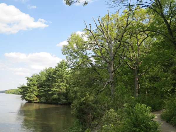 Céu azul e bela formação de nuvens com o crescimento da primavera ao longo da trilha do rio bluff seguindo o rio Illinois no Starved Rock State Park — Fotografia de Stock