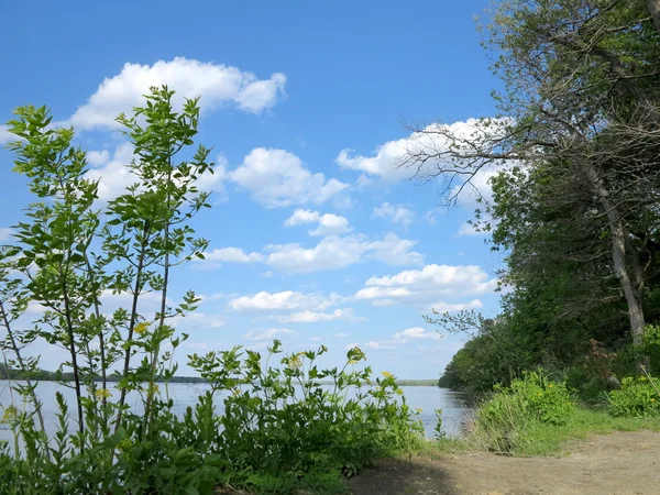 Cielo azul y hermosa formación de nubes con crecimiento primaveral a lo largo del camino del acantilado del río siguiendo el río Illinois en el Parque Estatal Starved Rock — Foto de Stock