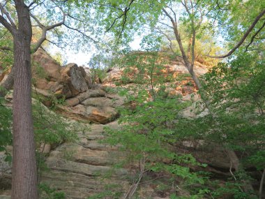 Aç Rock State Park, Illinois güzel yeşil ağaçlar bahar ile Kanyon'da kumtaşı