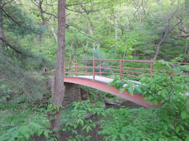 Wildcat Kanyon bahar, aç Rock State Park, Illinois yakın köprü