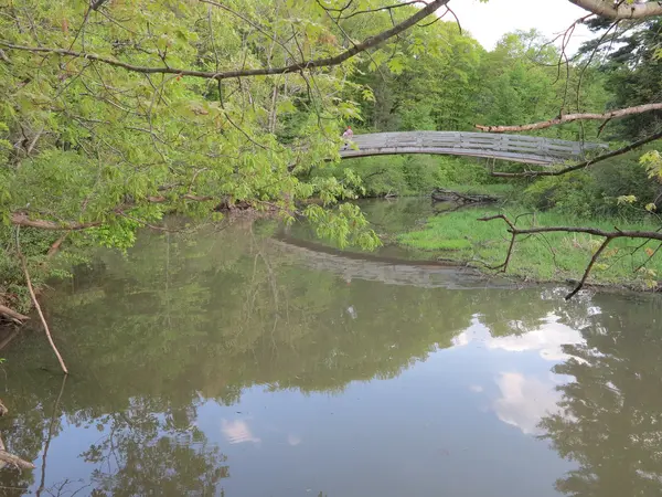 Puente cerca de LaSalle Canyon con nuevo crecimiento de árboles de primavera en Starved Rock State Park, Illinois — Foto de Stock