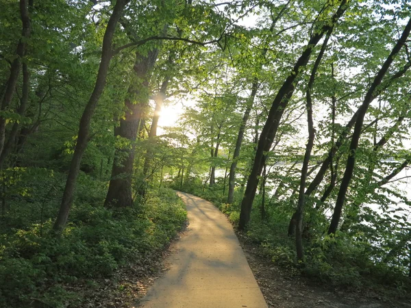 El sol comienza a ponerse a lo largo del Río Bluff Trail en primavera en Starved Rock State Park, Illinois — Foto de Stock