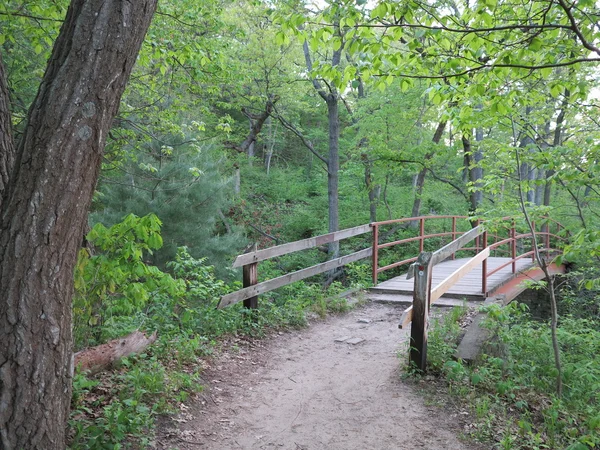 Most u Wildcat Canyon na jaře na Starved Rock stát Park, Illinois, USA — Stock fotografie