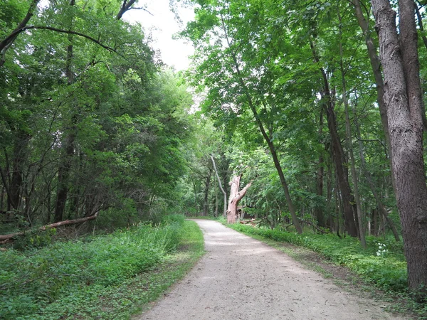 Zomer zonlicht breekt t/m eiken bomen langs het spoor systeem bij Chain O meren State Park in Illinois — Stockfoto