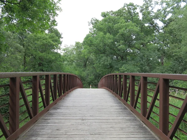 Iron Work Prairie Style Bridge Crossing Pine Meadow at Chain O Lakes State Park, Illinois in Summer — Stock Photo, Image