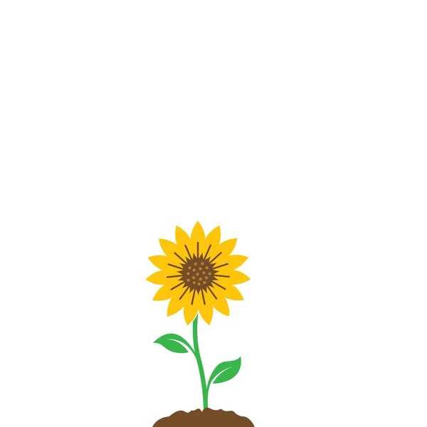 Sonnenblume Symbol Vektor Illustration Design Vorlage Web — Stockvektor