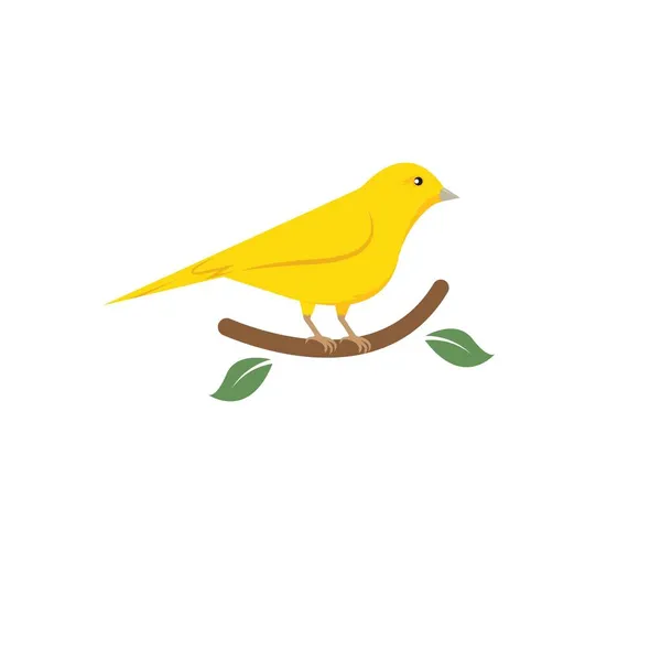 Canarino Uccello Icona Vettore Illustrazione Concetto Modello Progettazione — Vettoriale Stock
