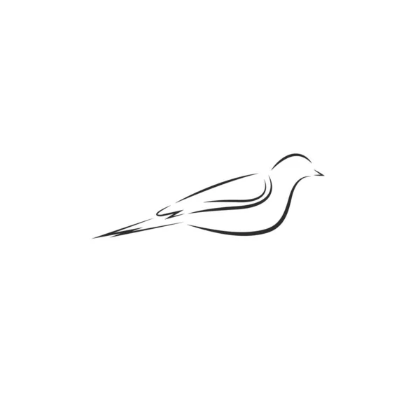 Linha Pássaro Ícone Vetor Ilustração Conceito Design Modelo —  Vetores de Stock
