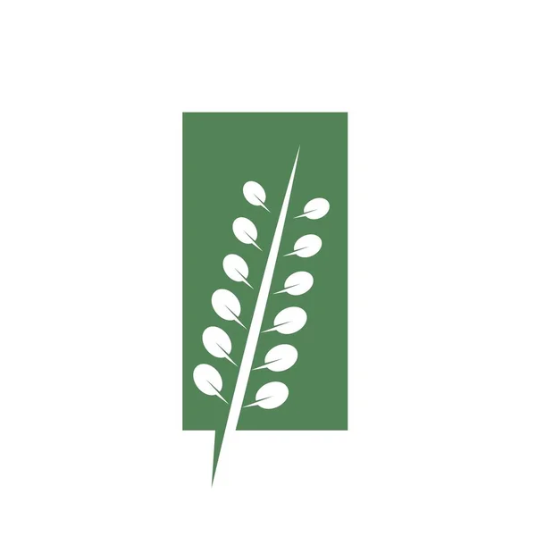 Moringa Leaf Simgesi Vektör Çizim Şablonu Ağı — Stok Vektör
