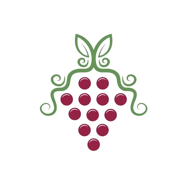 Шаблон Дизайна Иконок Виноградных Фруктов — стоковый вектор