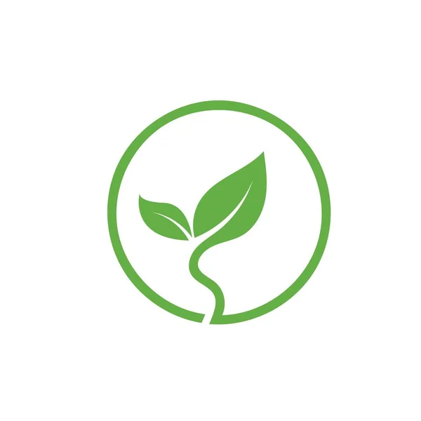 Green Leaf Icon Vector Concept Design Template Web — 图库矢量图片