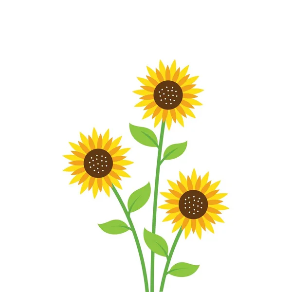 Sonnenblume Vektor Illustration Element Design Vorlage — Stockvektor