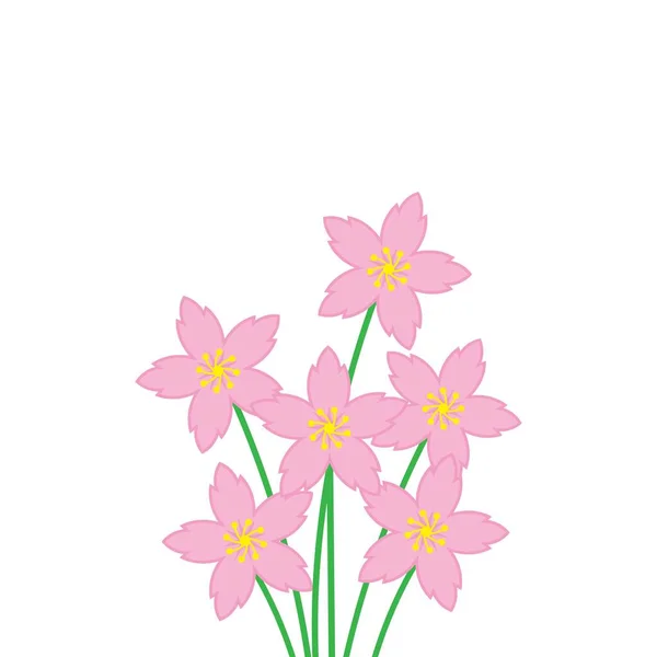 Sakura Blume Vektor Illustration Design Vorlage — Stockvektor