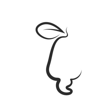 kaju fıstığı vektör çizim şablonu