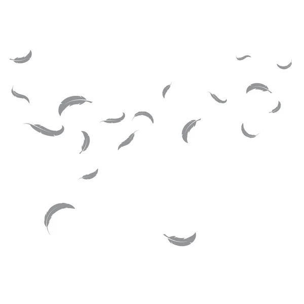 Feather Blowing Wind Background Illustration Vector Template Design — Image vectorielle