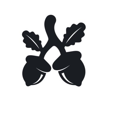 siyah meşe palamudu element vektör illüstrasyon tasarım şablonu