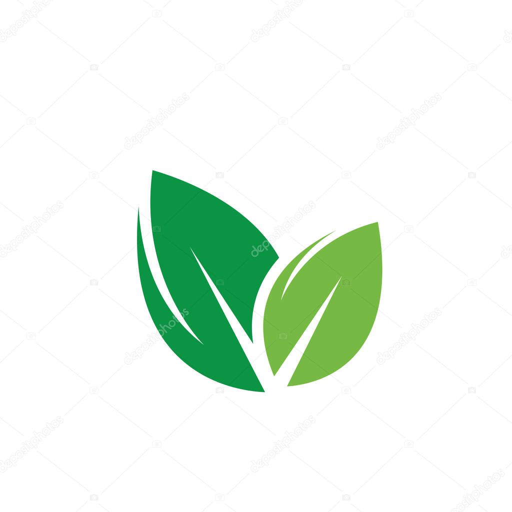 green leaf element  icon of nature concept  design template web