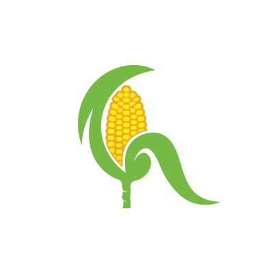 fresh corn vector element illustration design template web