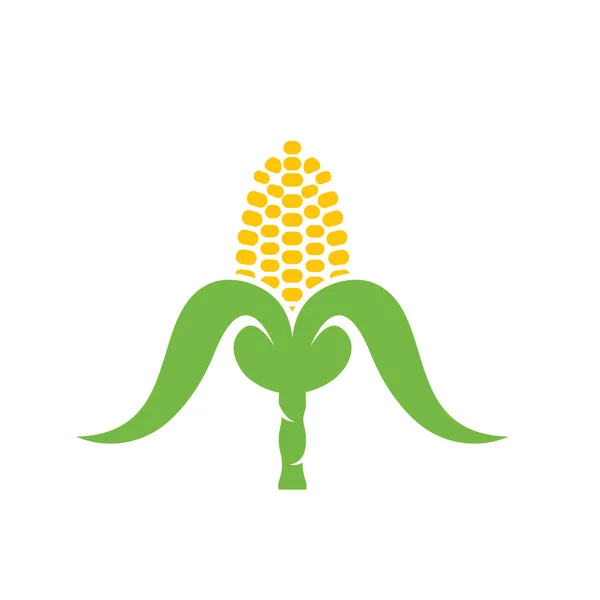 Fresh Corn Vector Element Illustration Design Template Web — стоковый вектор