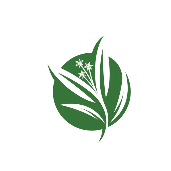 Eucalyptus Leaf Vector Element Design Template Web — Vector de stock