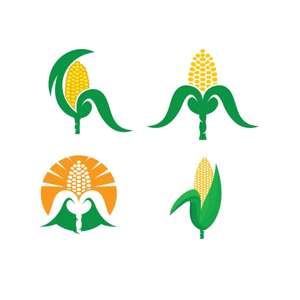 Fresh Corn Vector Element Illustration Design Template Web — Archivo Imágenes Vectoriales