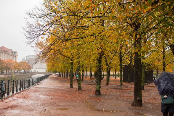 Autumn Maple Trees Street Linden Tree Berlin Germany — Stock Photo, Image