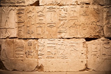 Berlin, Almanya 'daki Müze Adası, Mısır Sergi Salonu, Mısır tahtası