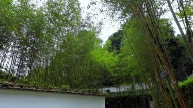 Ormanlar, dağlar, göller, Mingchi, yemyeşil bambu ormanları ve Tayvan 'ın Yilan ilçesindeki fayanslı duvarlar.