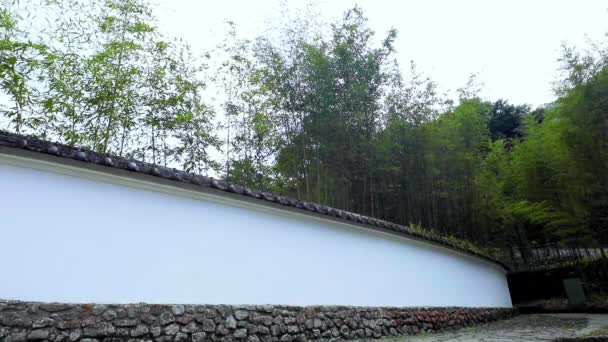 Hutan Gunung Danau Mingchi Hutan Bambu Verdant Dan Tembok Berubin — Stok Video