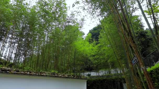 Florestas Montanhas Lagos Mingchi Florestas Verdejantes Bambu Paredes Azulejos Condado — Vídeo de Stock