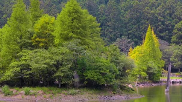 Foresta Laghi Montagna Mingchi Yilan County Taiwan Una Famosa Attrazione — Video Stock