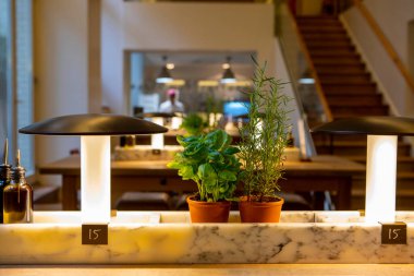 Berlin, Almanya, İtalyan açık büfe restoranı