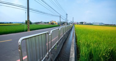 Güney Tayvan kırsalında, mavi gökyüzünün altında yeşil pirinç tarlaları ve beyaz bulutlar