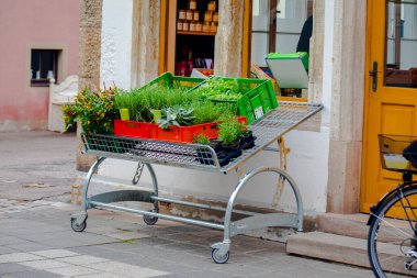 Almanya 'nın Rothenburg kentindeki dükkanlarda satılan mallar