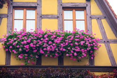 Peri masalı kasabası Rothenburg, Almanya 'daki her evin güzel pencere eşiğinde.