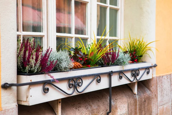 Peri Masalı Kasabası Rothenburg Almanya Daki Her Evin Güzel Pencere — Stok fotoğraf