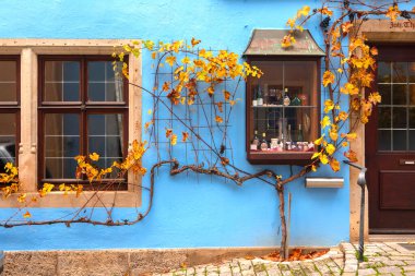 Peri masalı kasabası Rothenburg, Almanya 'nın eski sokaklarında eşsiz yeşil duvarlar