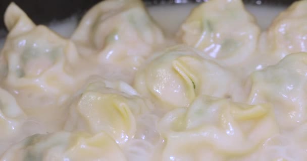 饺子正在热的煎锅里煮熟 — 图库视频影像