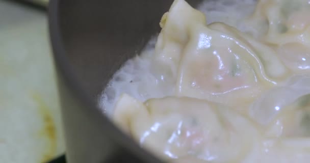 Смажені Пельмені Готують Гарячій Сковороді — стокове відео