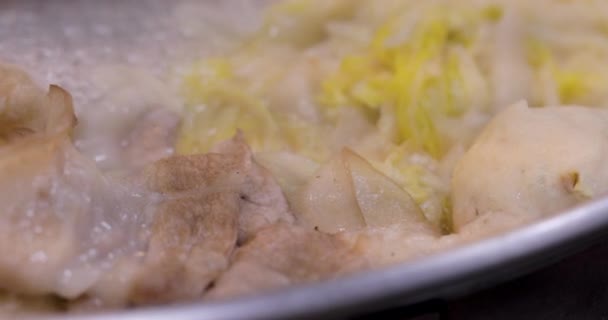 Ζεστό Βορειοανατολικό Sauerkraut Λευκό Κρέας Κατσαρόλα — Αρχείο Βίντεο