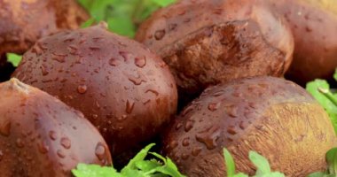 Sonbahar lezzeti, kestaneler yeşil çimenlere düşer.