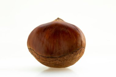 Sonbahar lezzetleri, kestaneler beyaz arka planda