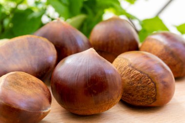 Sonbahar lezzetleri, kestaneler beyaz arka planda