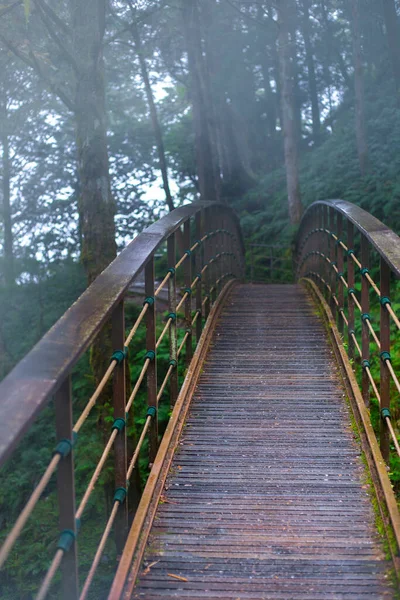 Taipingshan Jianqing Old Road Yilan County Taiwan Ponte Que Cruza — Fotografia de Stock