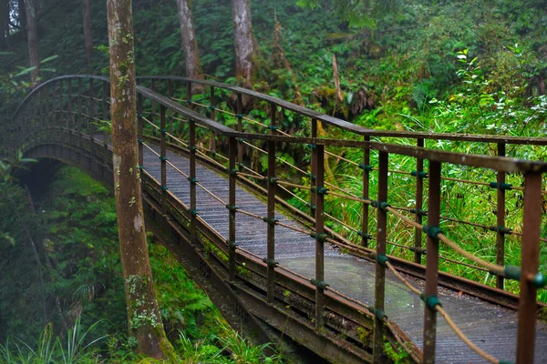 Taipingshan Jianqing Eski Yolu, Yilan İlçesi, Tayvan, nehirden geçen yol.