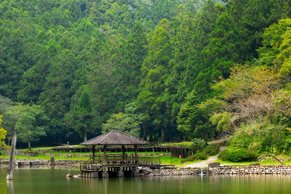 Forêt Les Lacs Montagne Mingchi Comté Yilan Taiwan Est Une — Photo