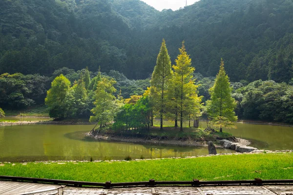 Forêt Les Lacs Montagne Mingchi Comté Yilan Taiwan Est Une — Photo