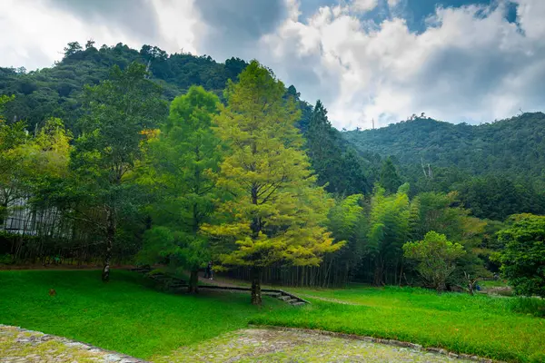 Forêt Les Lacs Montagne Mingchi Comté Yilan Taiwan Est Une — Photo